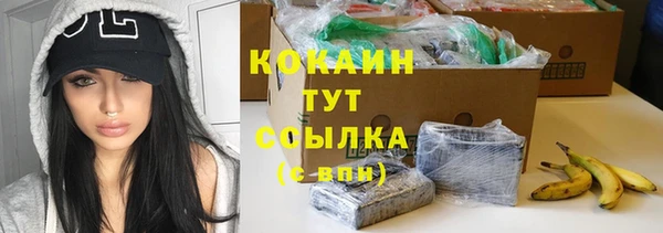 прущие грибы Михайловка
