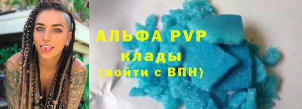 хмурый Абаза