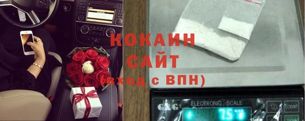 хмурый Абаза