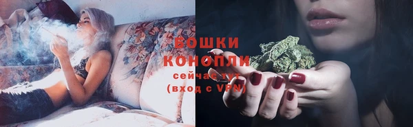 прущие грибы Михайловка