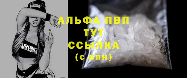 хмурый Абаза
