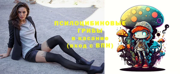 хмурый Абаза
