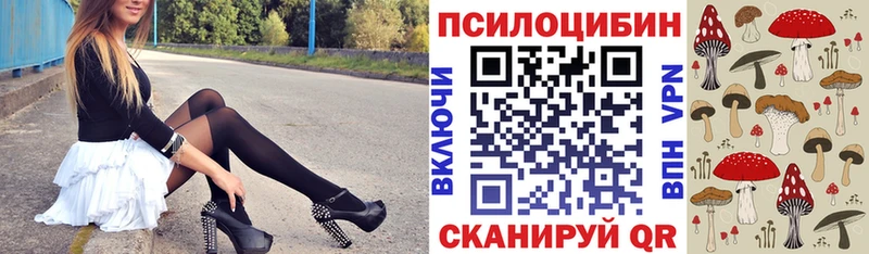 магазин продажи   Ленинградская  Галлюциногенные грибы Cubensis 